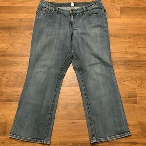 VENEZIA STRAIGHT LANE BRYANT’s JEANS